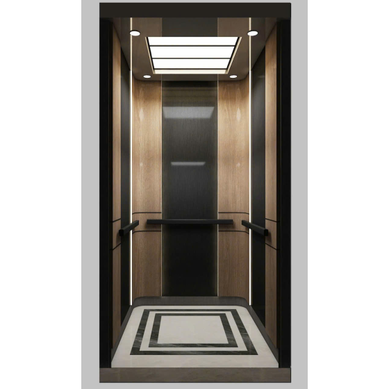 Thang máy Homelift hiện đại